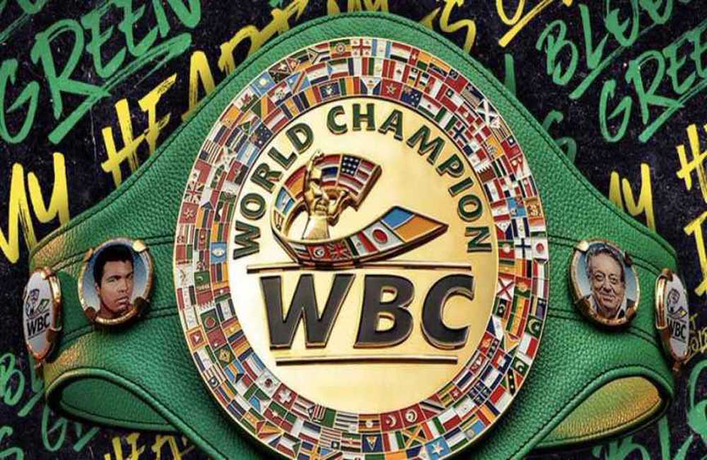 El Consejo Mundial De Boxeo Estudia Una Categoría Transgénero Para El ...